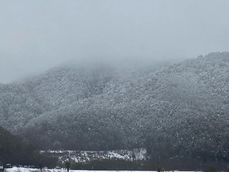 雪化粧