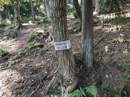 荒神山 その2