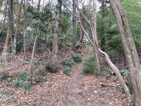 ぶらっと荒神山　その三