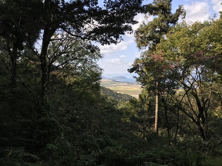 ふらっと荒神山