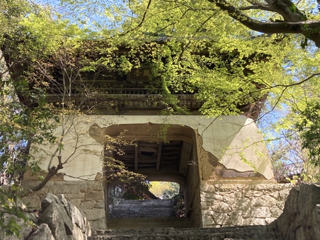 仙琳寺