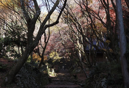 鶏足寺