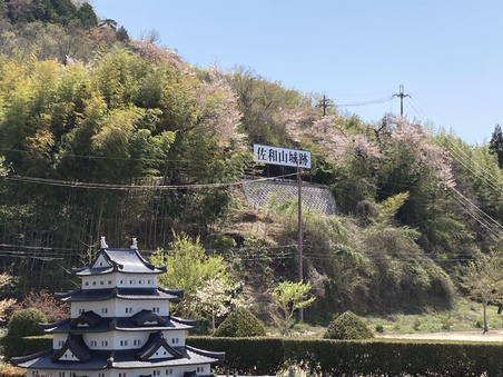仙琳寺