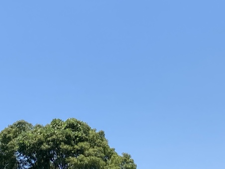 7月の定休日