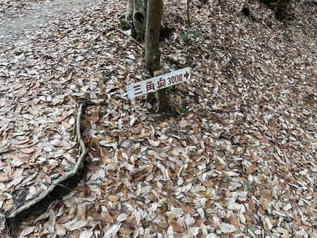 ぶらっと荒神山　その三