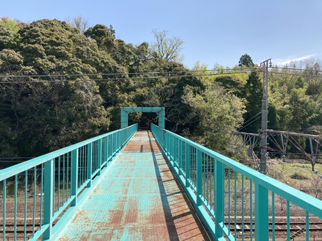 仙琳寺