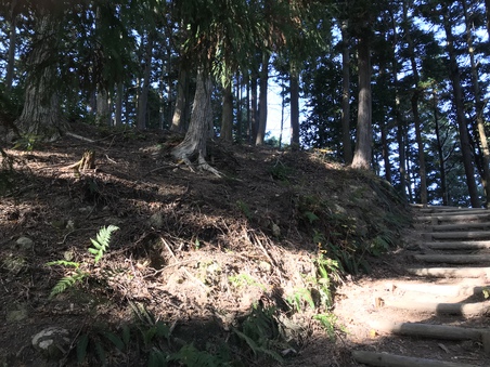 荒神山 その2