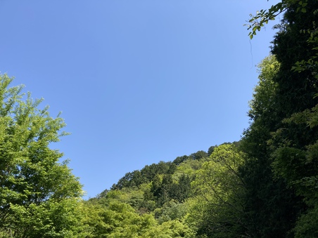 ゴールデンウィーク