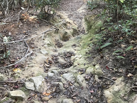 荒神山 その2