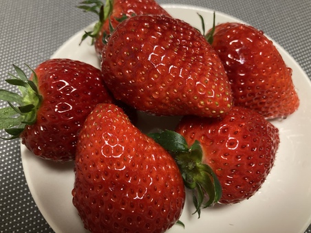 苺の差し入れ
