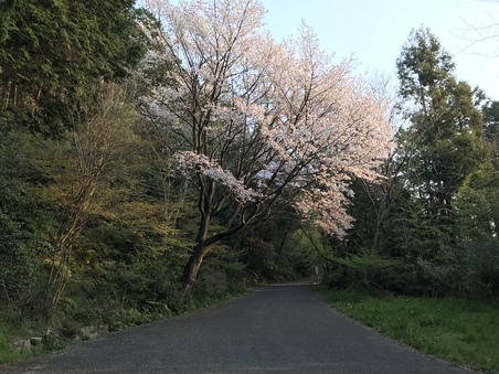 父の命日