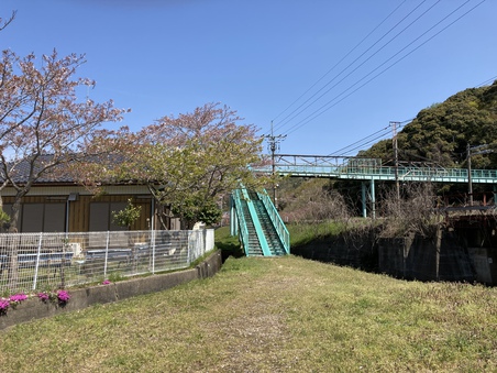 仙琳寺