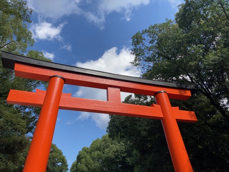 また京都かよ