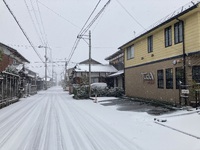 初雪