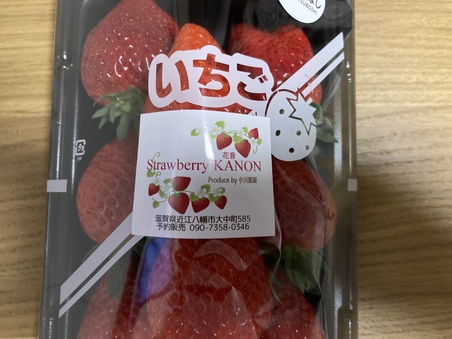 苺の差し入れ