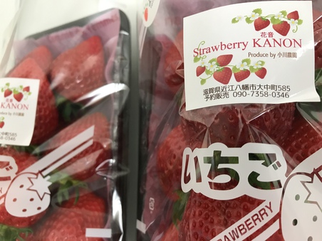 イチゴ