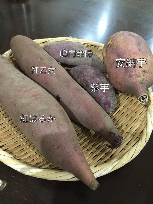 11月3日（火）サツマイモのスコーン