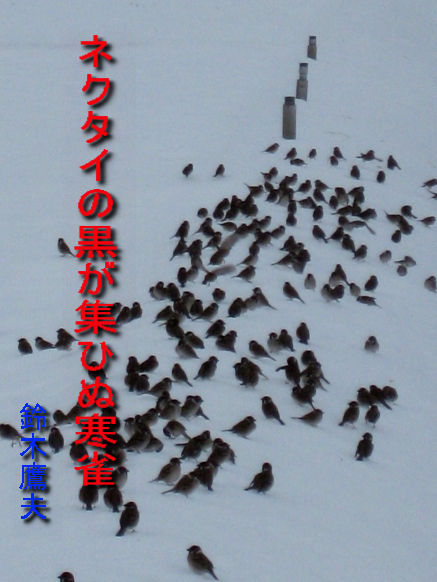 寒雀・・