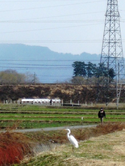 入試日・・一日の風景