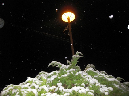 雪が降って積もっています