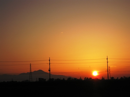 土筆、梅、朝陽に・・。