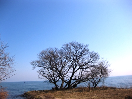 ええ天気です！