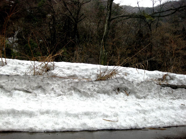 県境・・残雪あり