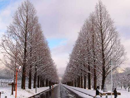 雪景色が無かったので・・０７年の