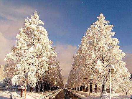 雪景色が無かったので・・０７年の