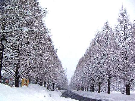 雪景色が無かったので・・０７年の