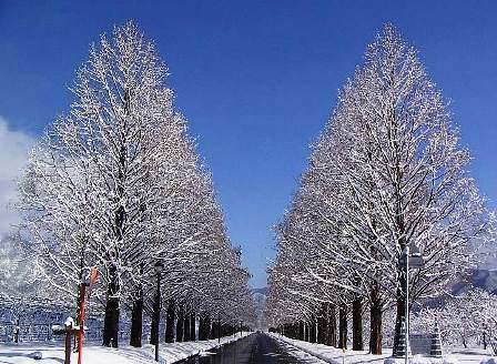 雪景色が無かったので・・０７年の
