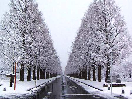 雪景色が無かったので・・０７年の