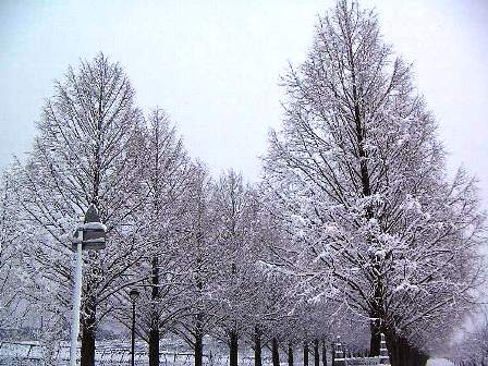 雪景色が無かったので・・０７年の
