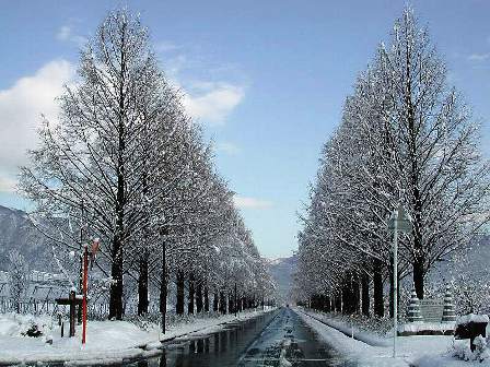 雪景色が無かったので・・０７年の