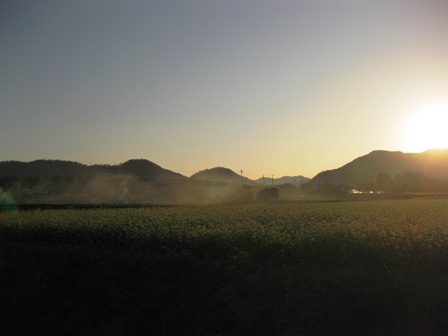 秋らしい夕景