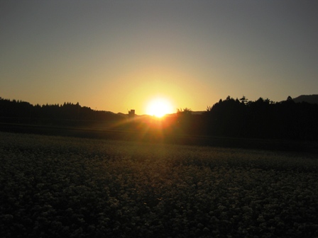秋らしい夕景