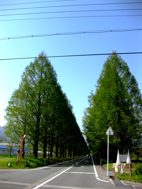 初夏の様子で・・混雑、すえぞうさん発見と憲法記念日