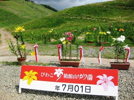 びわこ箱館山ゆり園２０１０