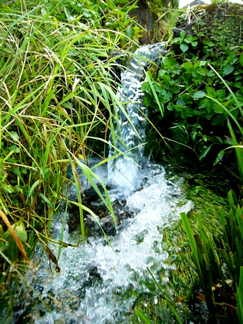 水