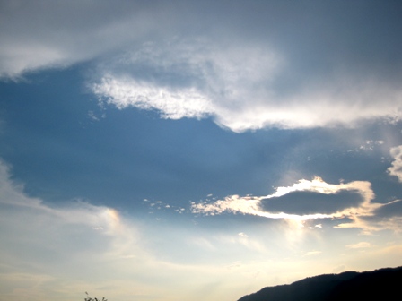 遠くに・・夏虹