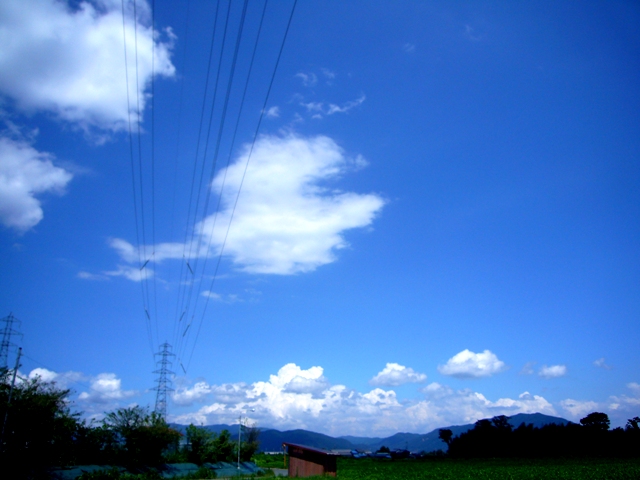 健在・・夏の空