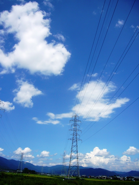 健在・・夏の空