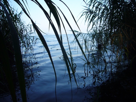 午後の琵琶湖岸