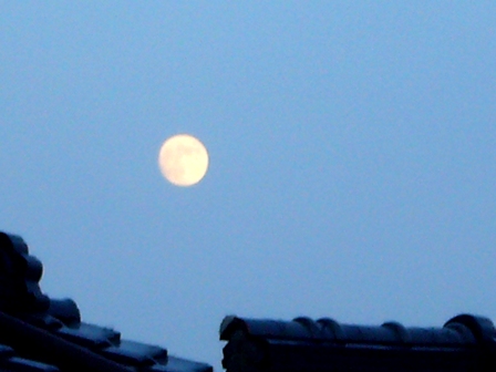 夕方・・お月様や沼で夕景