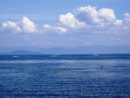 夏の恋