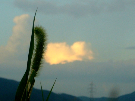 夕焼け茜・・ちょっとだけ
