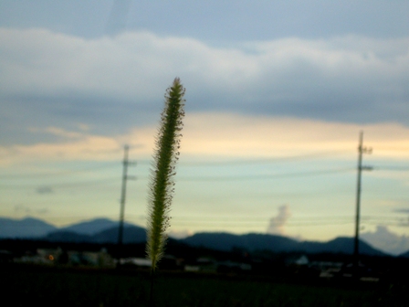 夕焼け茜・・ちょっとだけ