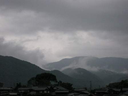 夕方から雨が・・・深い秋ですか？？