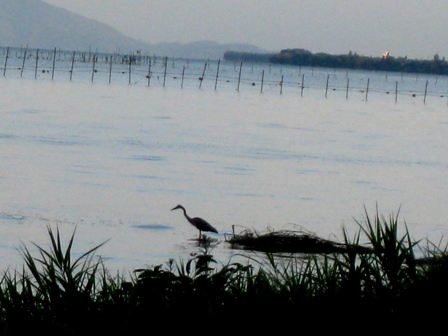 今日の夕方・・気温も２２度で琵琶湖