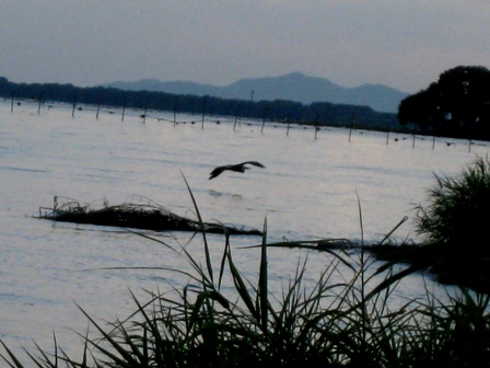 今日の夕方・・気温も２２度で琵琶湖